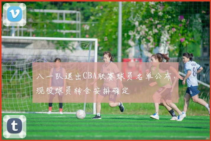 八一队退出CBA联赛球员名单公布，现役球员转会安排确定