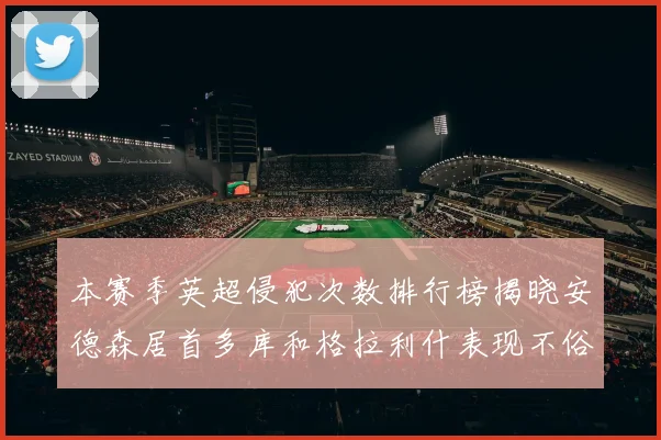 本赛季英超侵犯次数排行榜揭晓安德森居首多库和格拉利什表现不俗